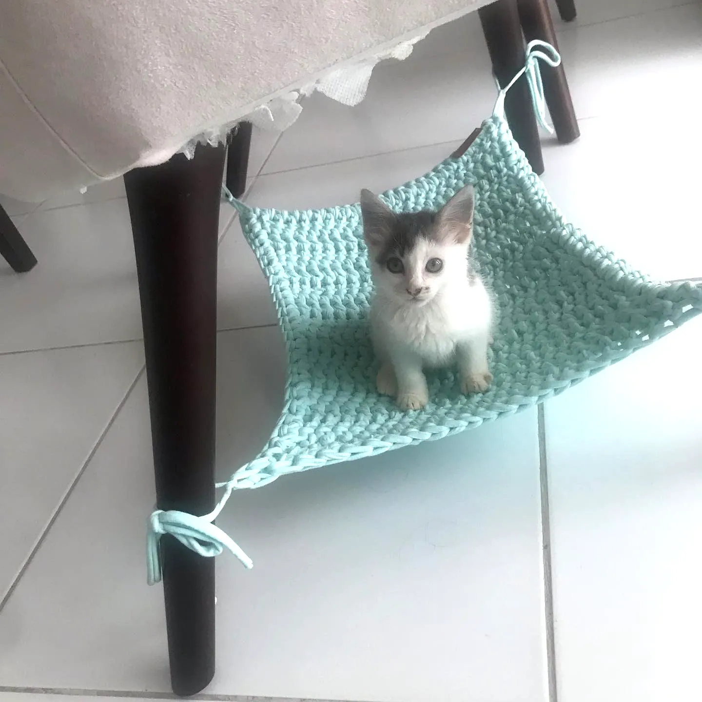 Cozy Turquoise Crochet Cat Hammock for Stylish Cat Naps