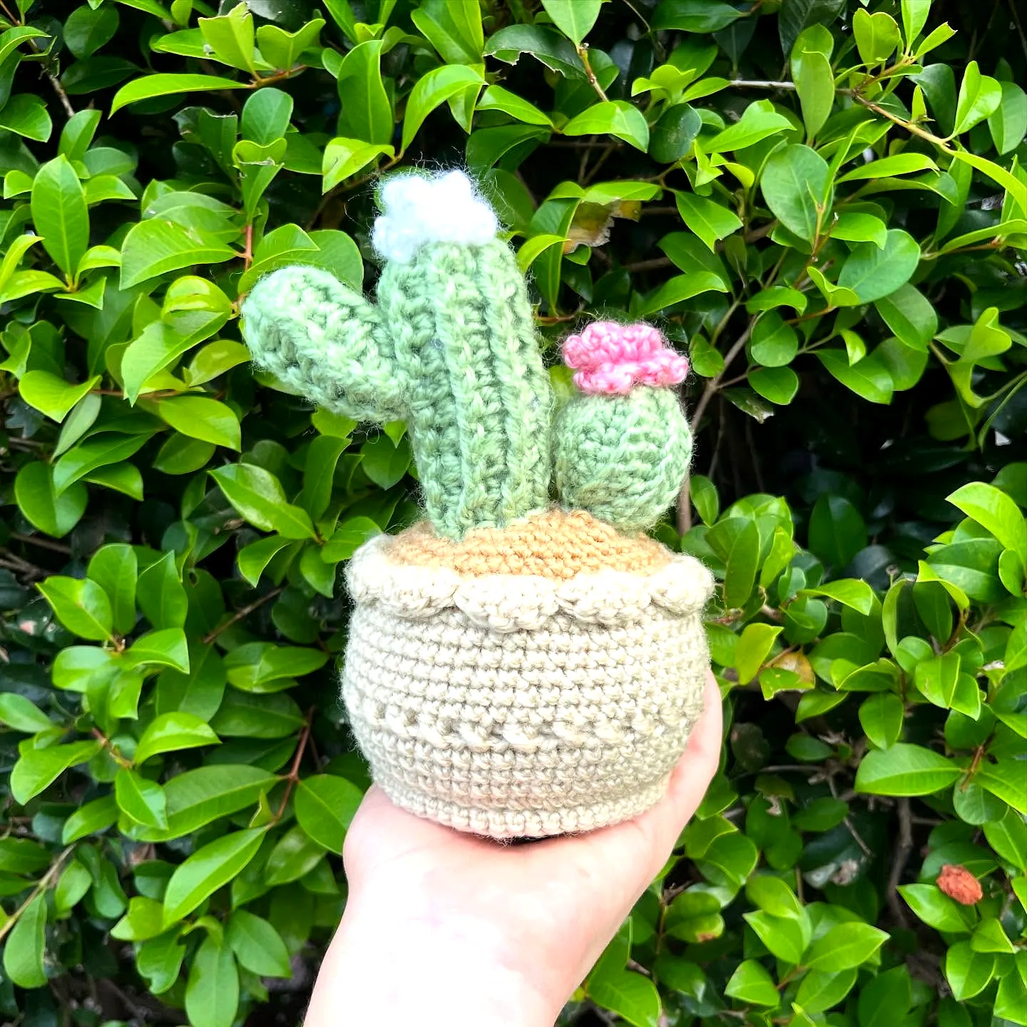 Cute crochet cactus in vibrant colors