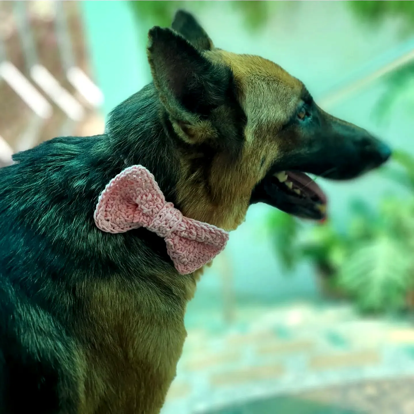 Cute Crochet Dog Bow Tie in Soft Pink for Stylish Pets