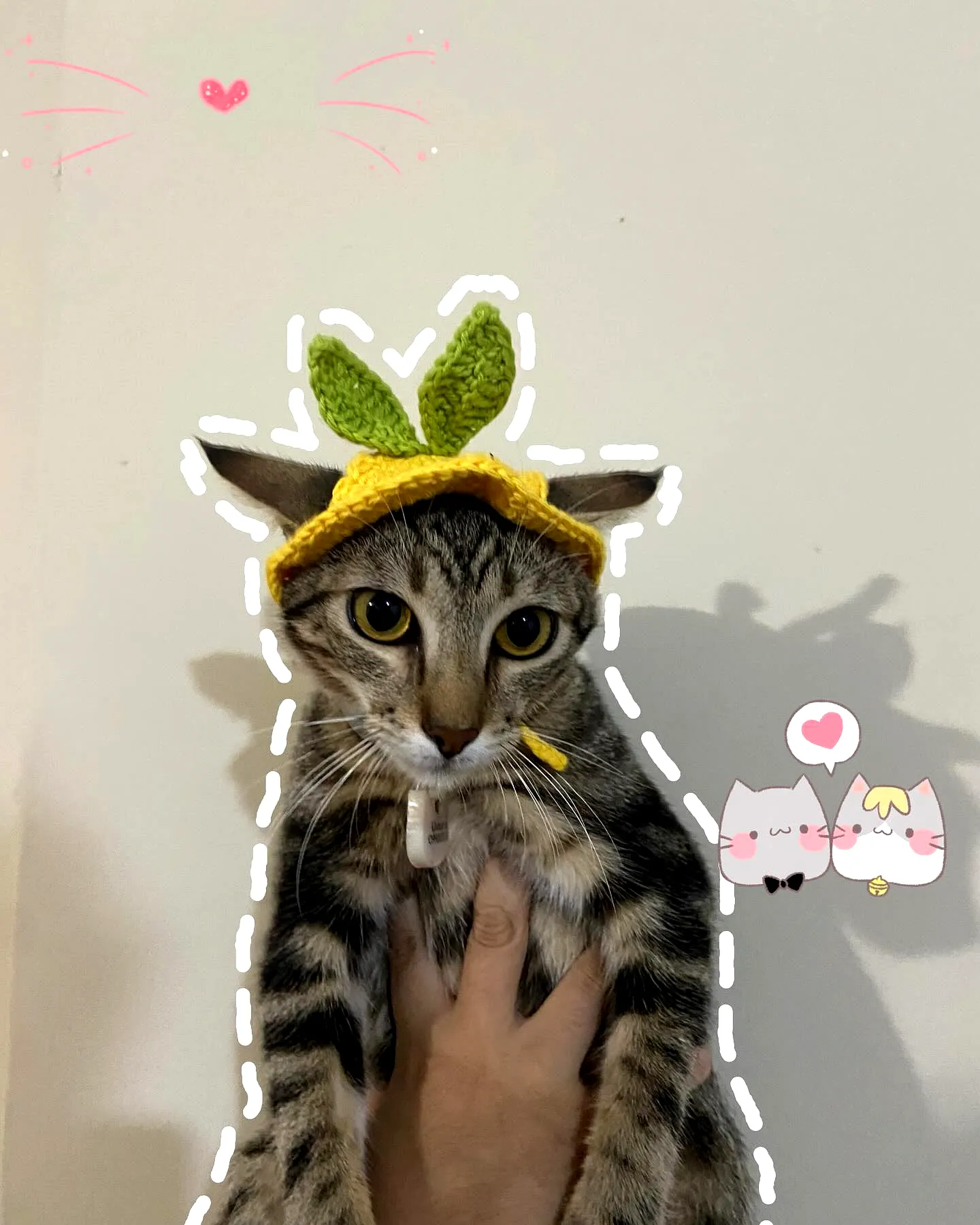 Easy and Colorful Crochet Pet Hat with Pineapple Design
