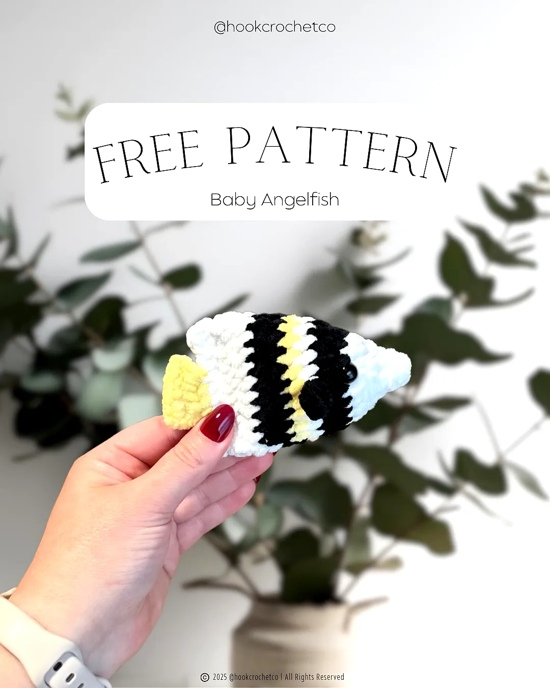 Easy Colorful Crochet Fish Baby Angelfish Decorative Craft