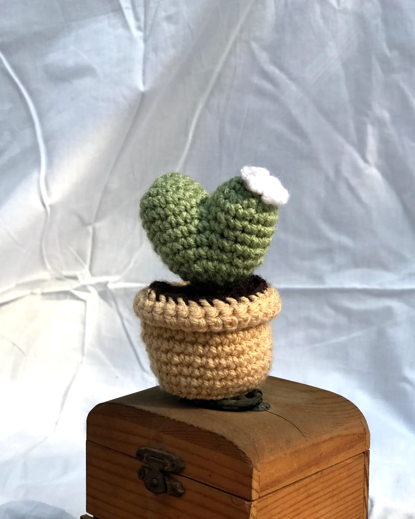 Easy Crochet Cactus in Two-Tone Green with Cute White Flower