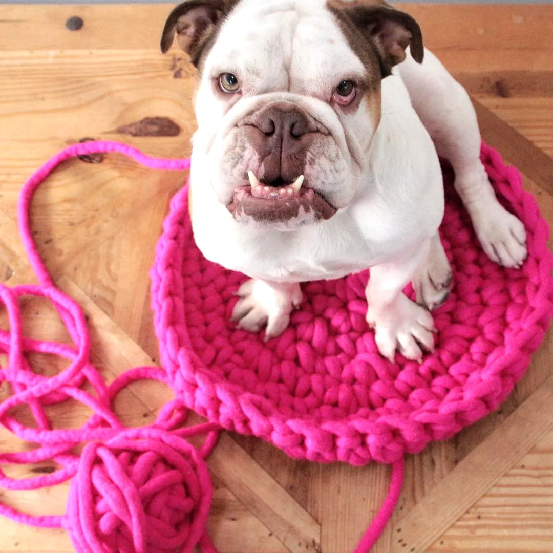 Easy Crochet Dog Bed in Vibrant Pink with Chunky Knit Design