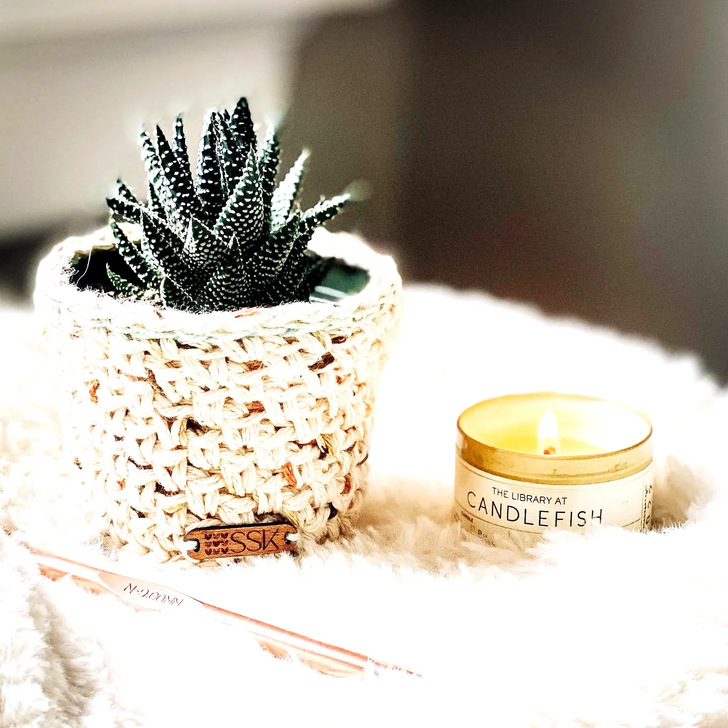 Easy Crochet Plant Cozy in Cream for Stylish Home Decor
