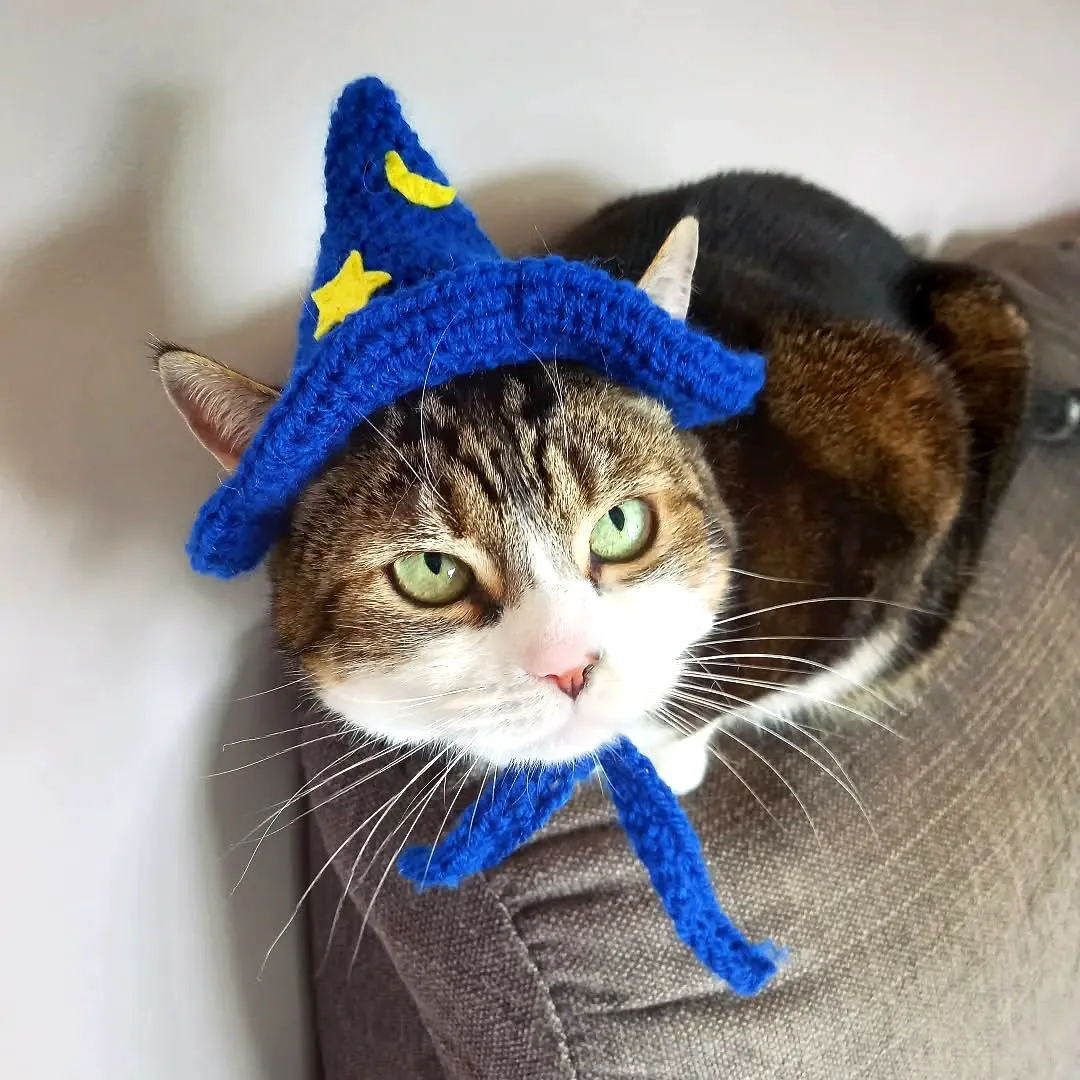 Easy Crochet Wizard Hat in Blue with Stars and Moon for Pets