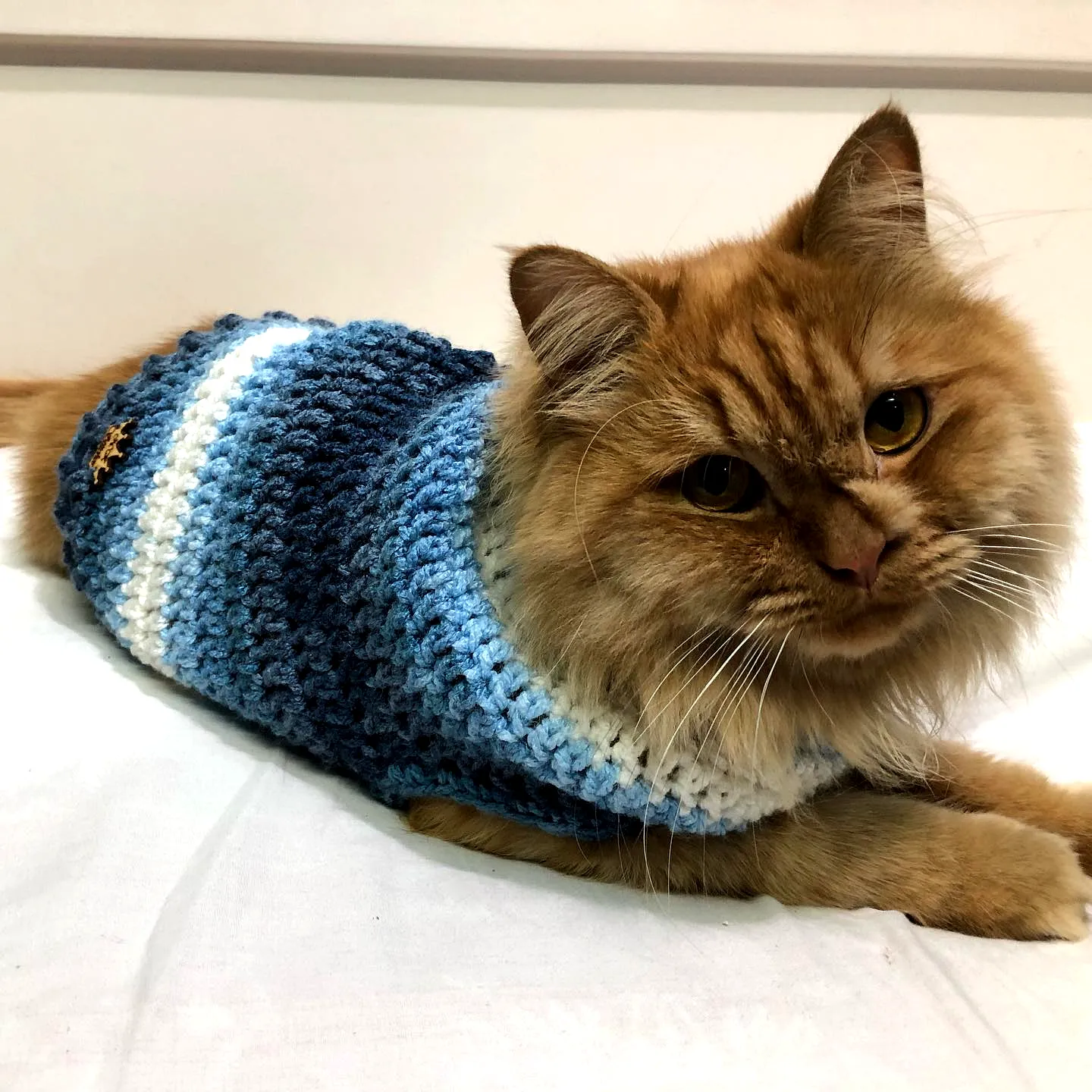 Easy striped crochet cat sweater in blue and white colors