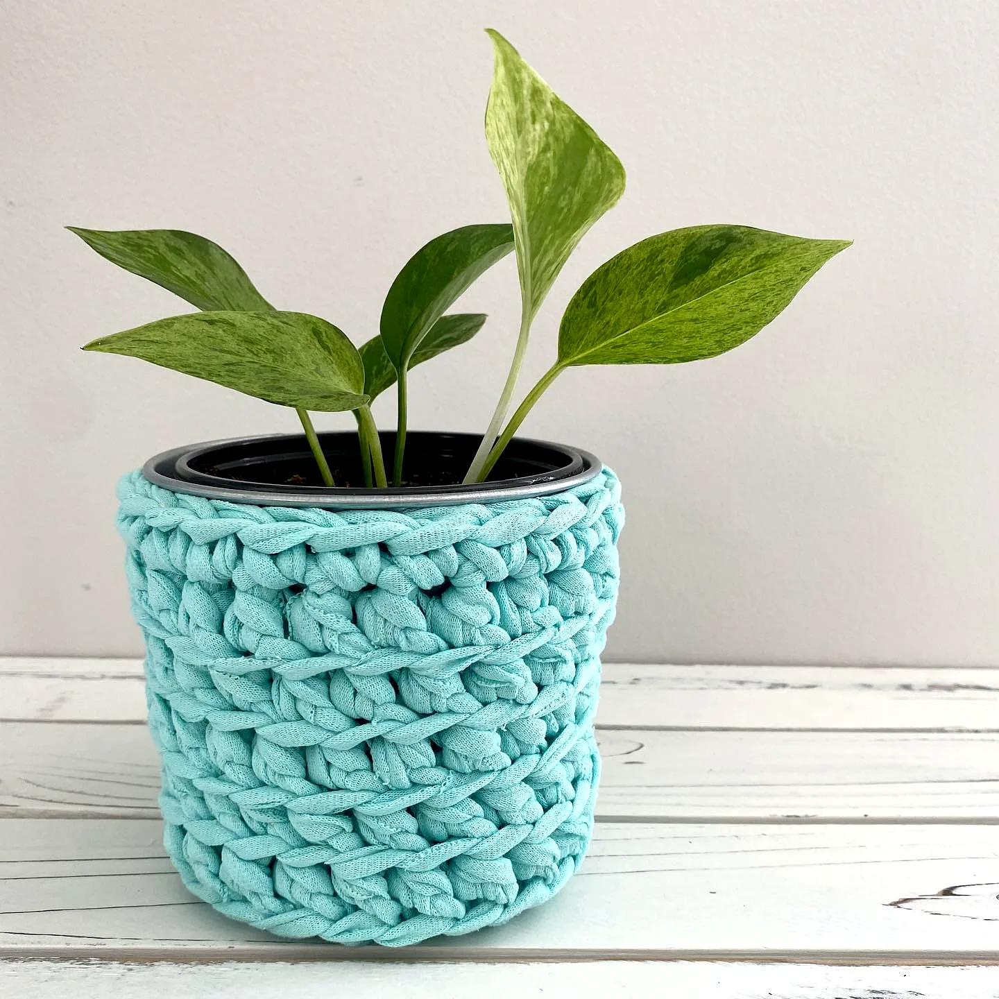 Easy Stylish Crochet Plant Cozy in Bright Turquoise T-Shirt Yarn