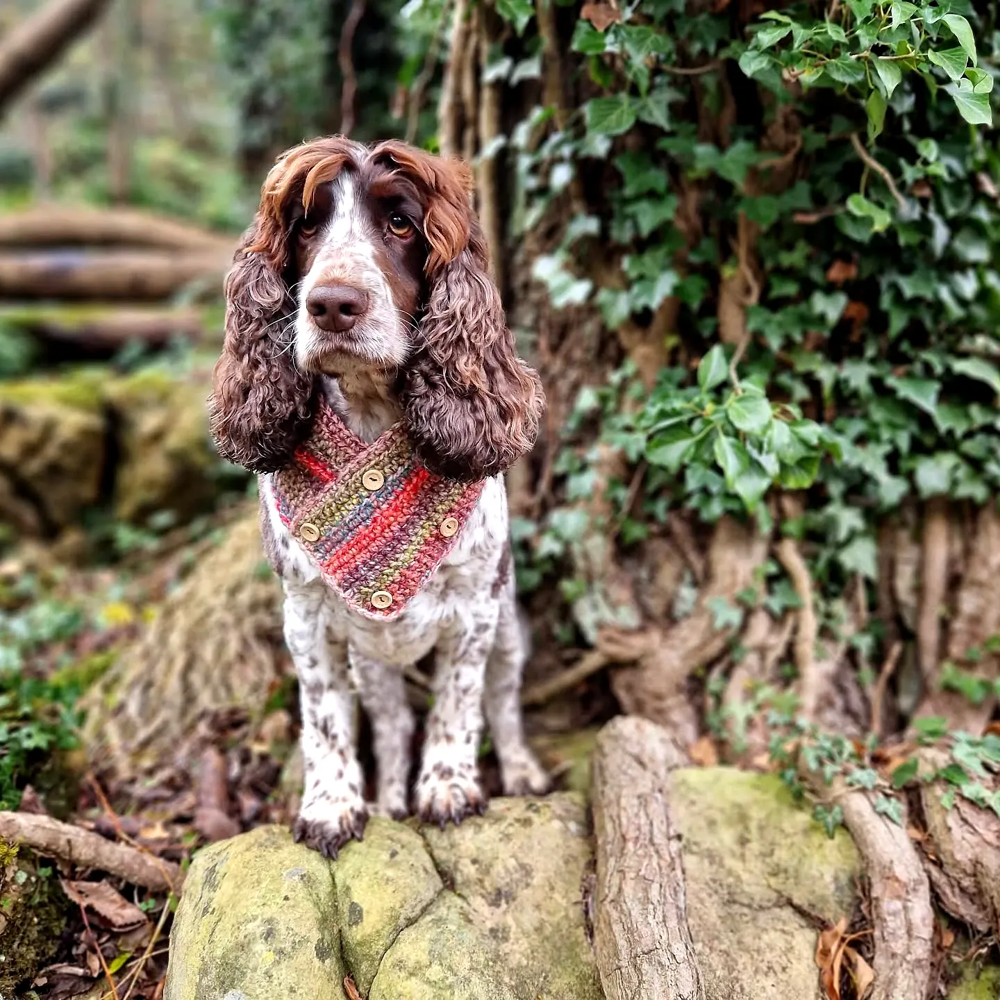 Stylish Colorful Crochet Pet Scarf