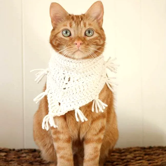Stylish Cream Crochet Pet Scarf with Tassels for Beginners