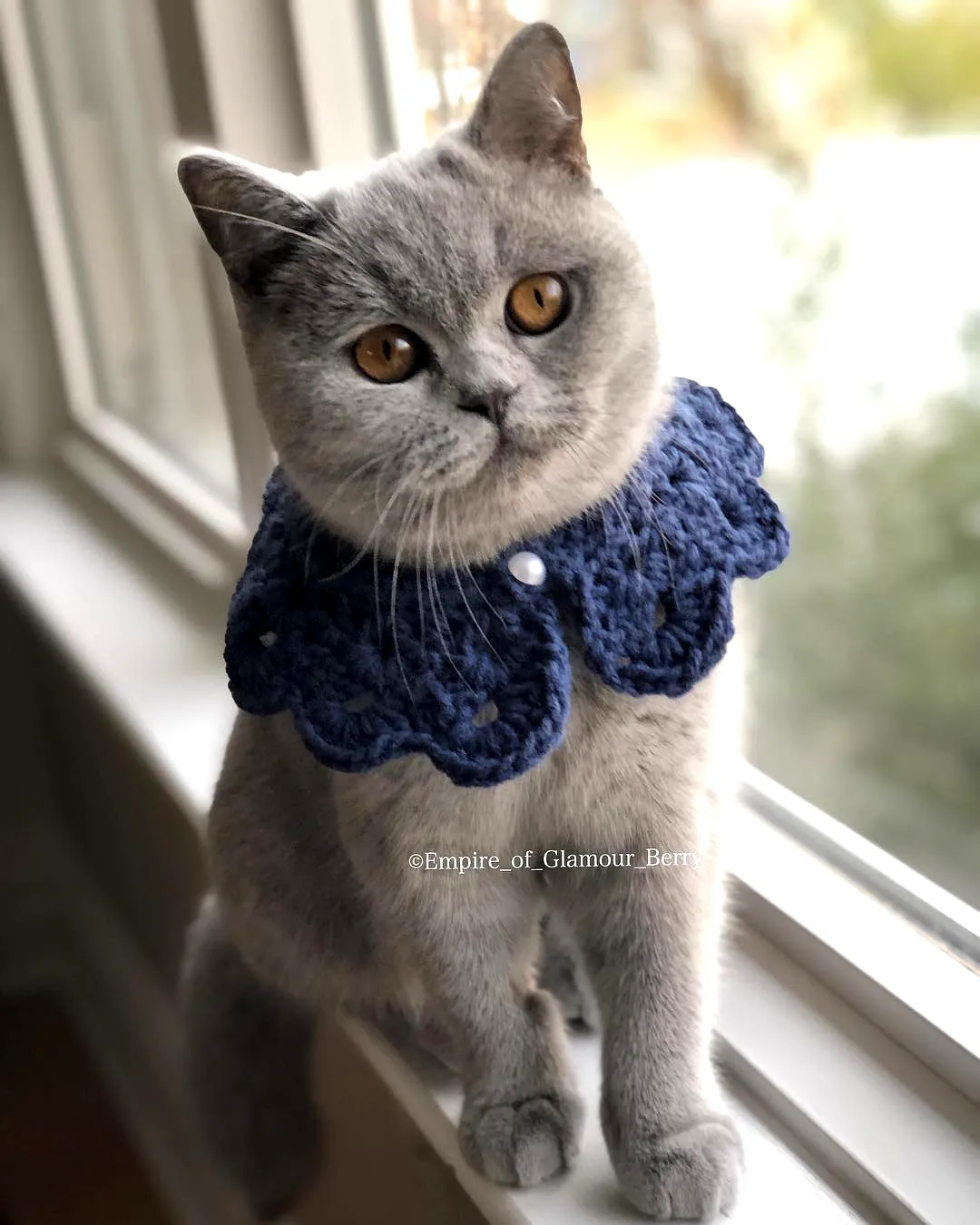 Stylish Crochet Cat Collar in Navy Blue with Scalloped Design