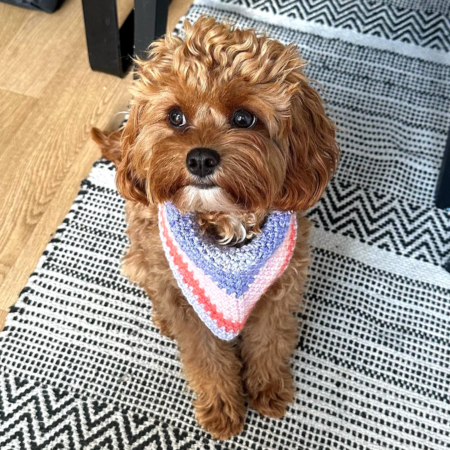 Stylish Crochet Dog Bandana in Pastel Pink and Lavender