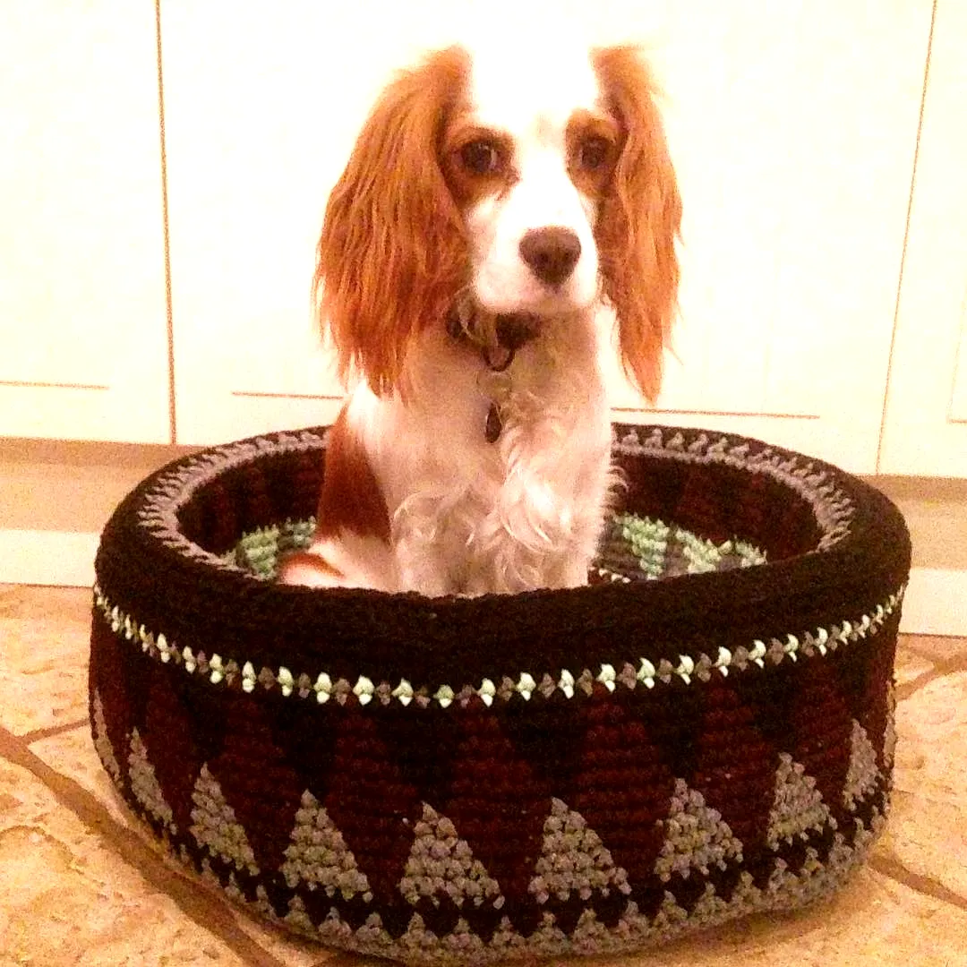 Stylish Crochet Dog Bed in Cozy Geometric Black Burgundy Green
