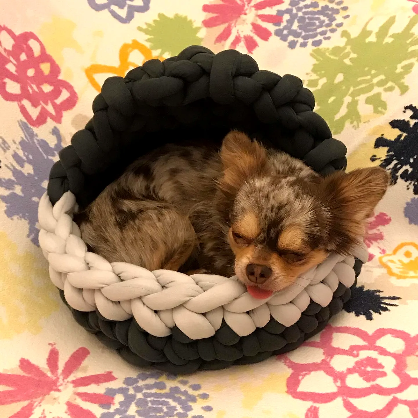 Stylish Crochet Dog Bed in Gray and White for Advanced Crafters