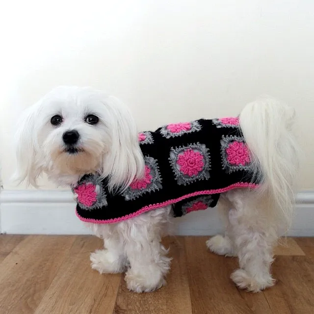 Stylish Crochet Dog Coat in Black with Colorful Granny Squares