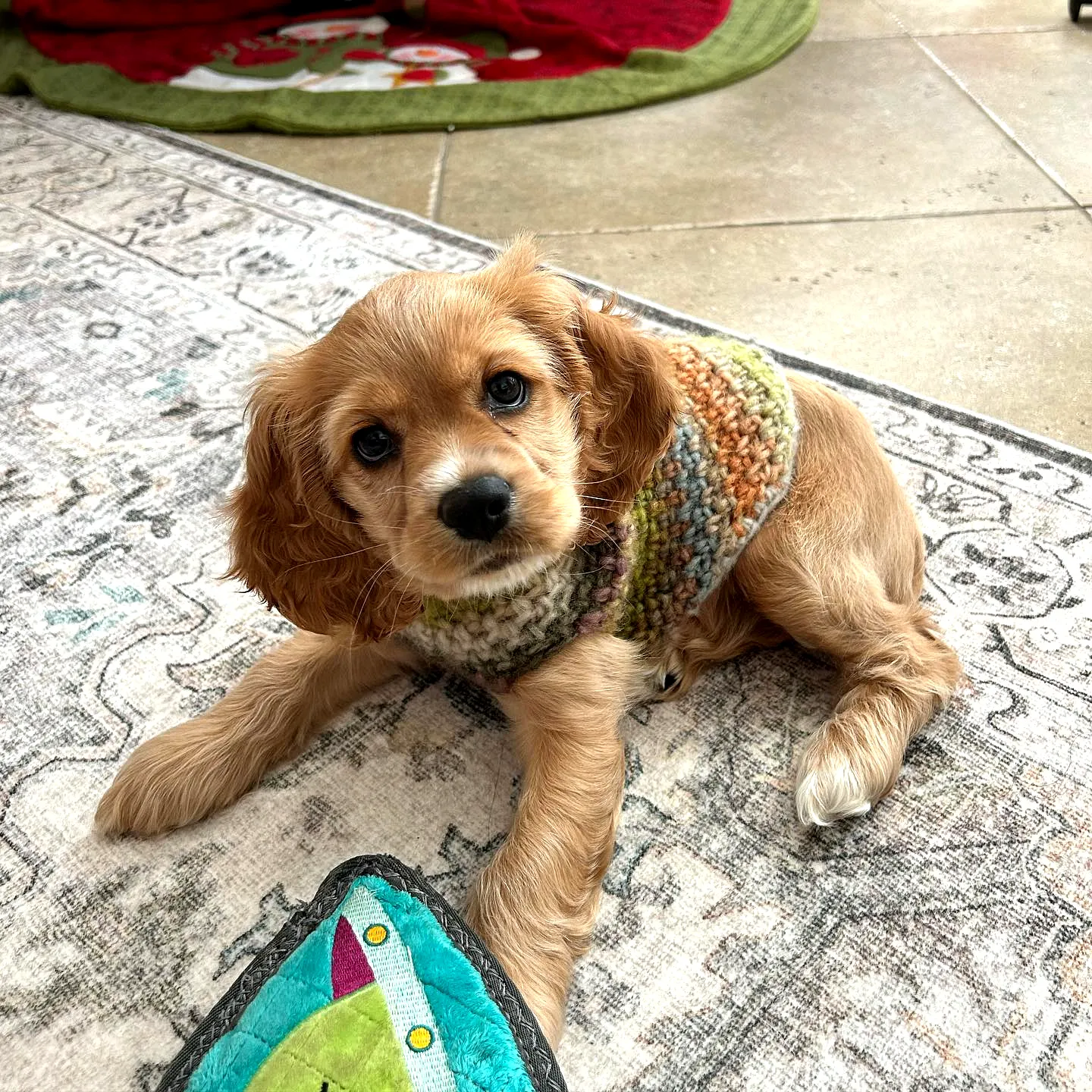 Stylish Crochet Dog Sweater in Vibrant Earthy Tones