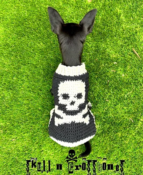 Stylish Crochet Dog Sweater with Skull Design in Black and Cream
