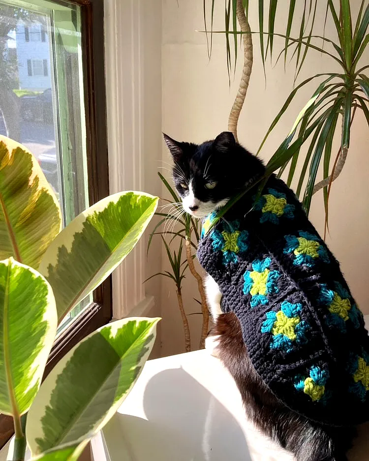 Stylish Crochet Pet Sweater in Vibrant Square Pattern