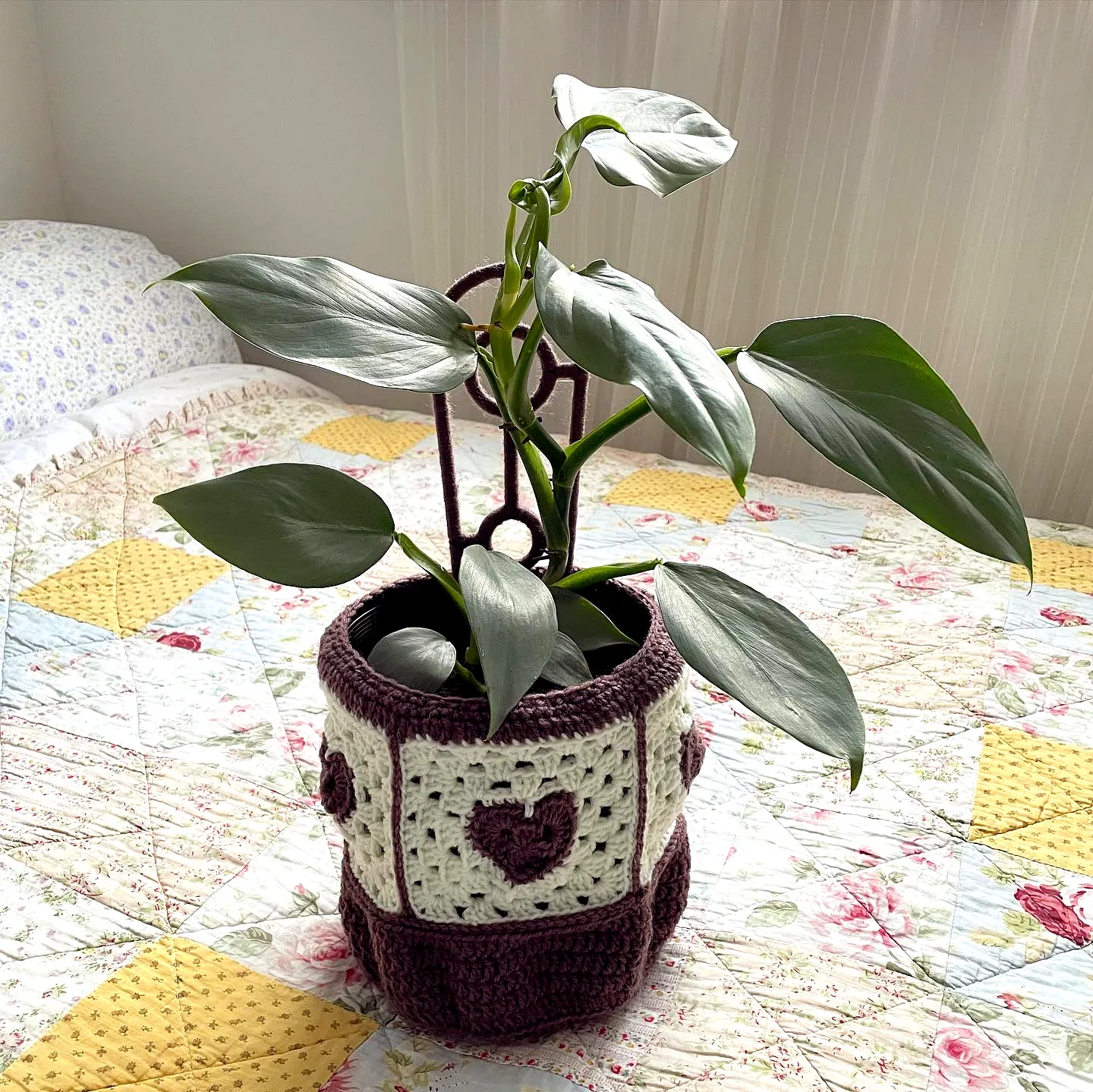 Stylish Crochet Plant Cozy in Deep Burgundy and Cream