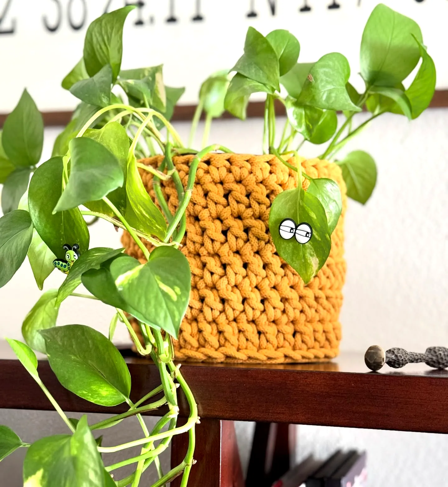 Stylish Crochet Plant Cozy in Vibrant Mustard Yellow