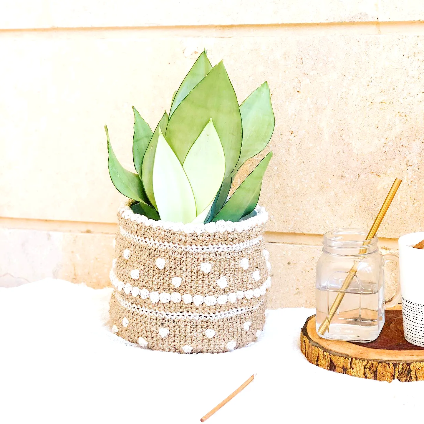 Stylish Crochet Plant Pot Cover in Beige with Bobbles