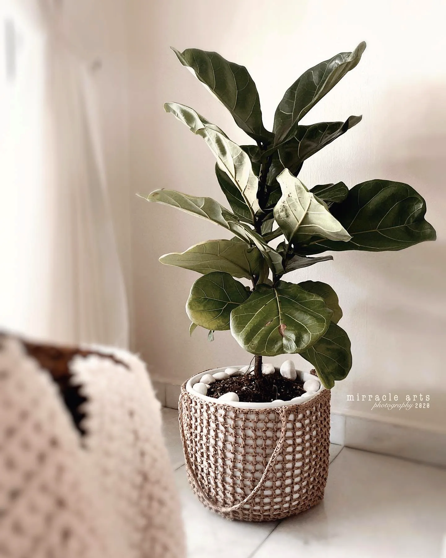 Stylish Crochet Plant Pot Cover in Natural Beige with Texture