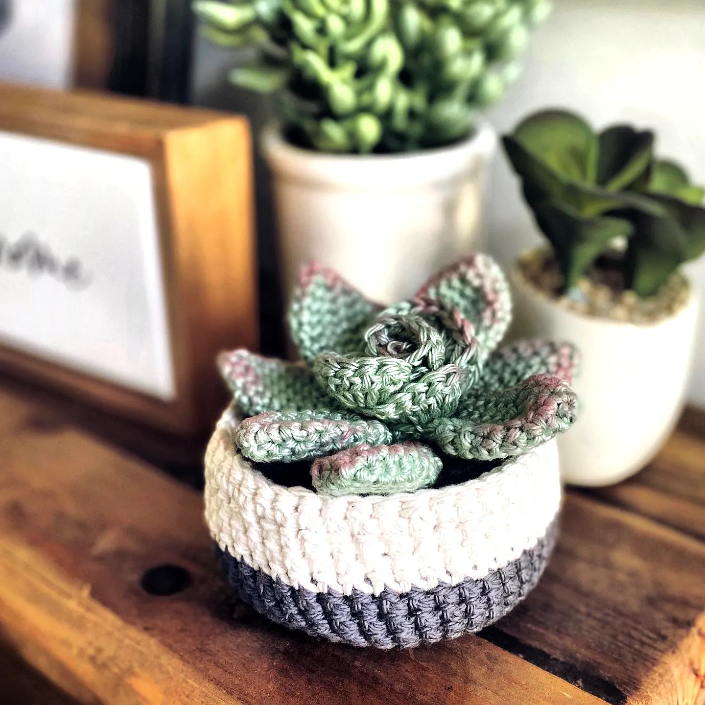 Stylish Crochet Succulent in Gray White and Green Hues