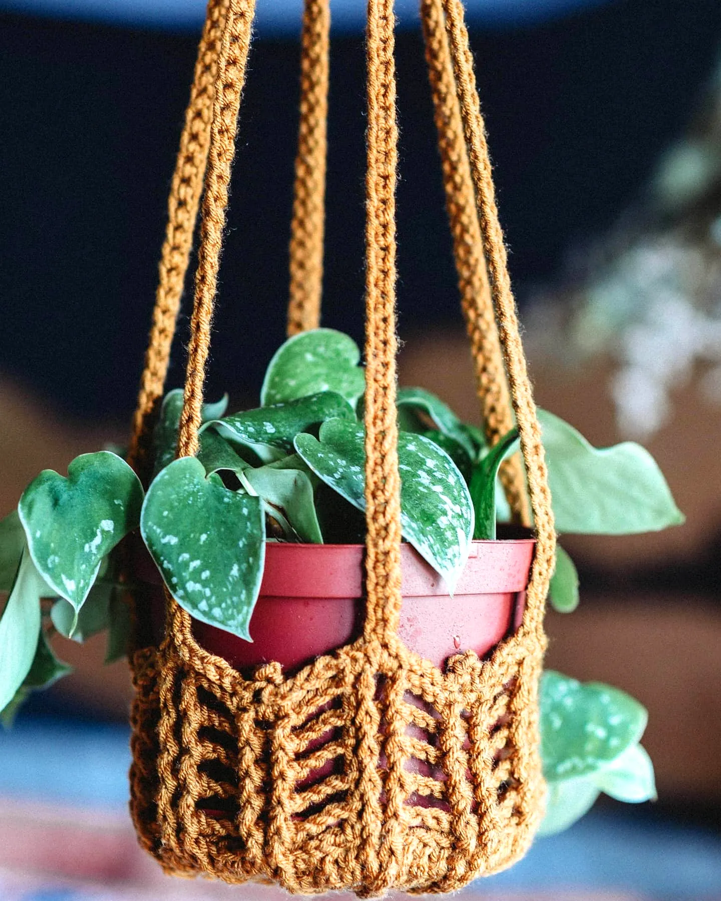 Stylish Easy Crochet Plant Hanger in Warm Mustard Color