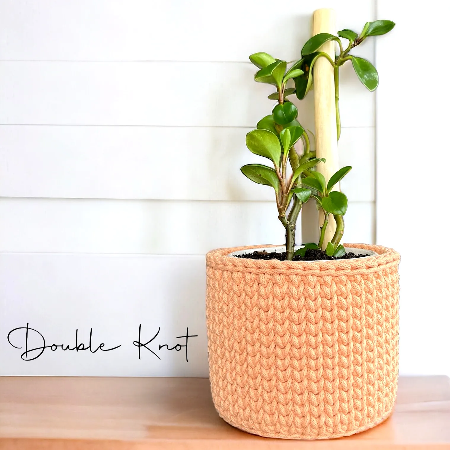 Stylish peach crochet plant pot cover with braided stitch