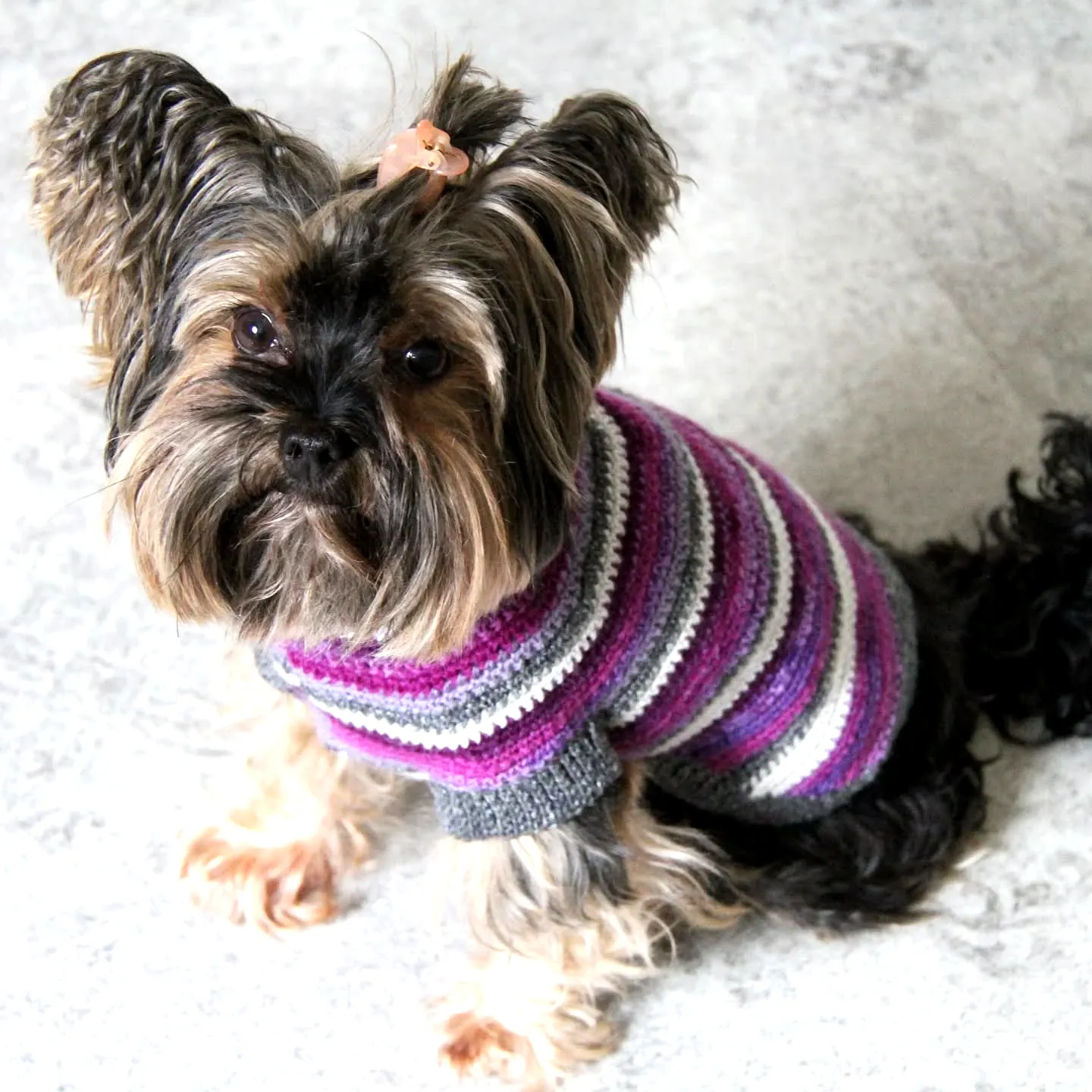 Stylish Striped Crochet Dog Sweater in Purple Gray and White