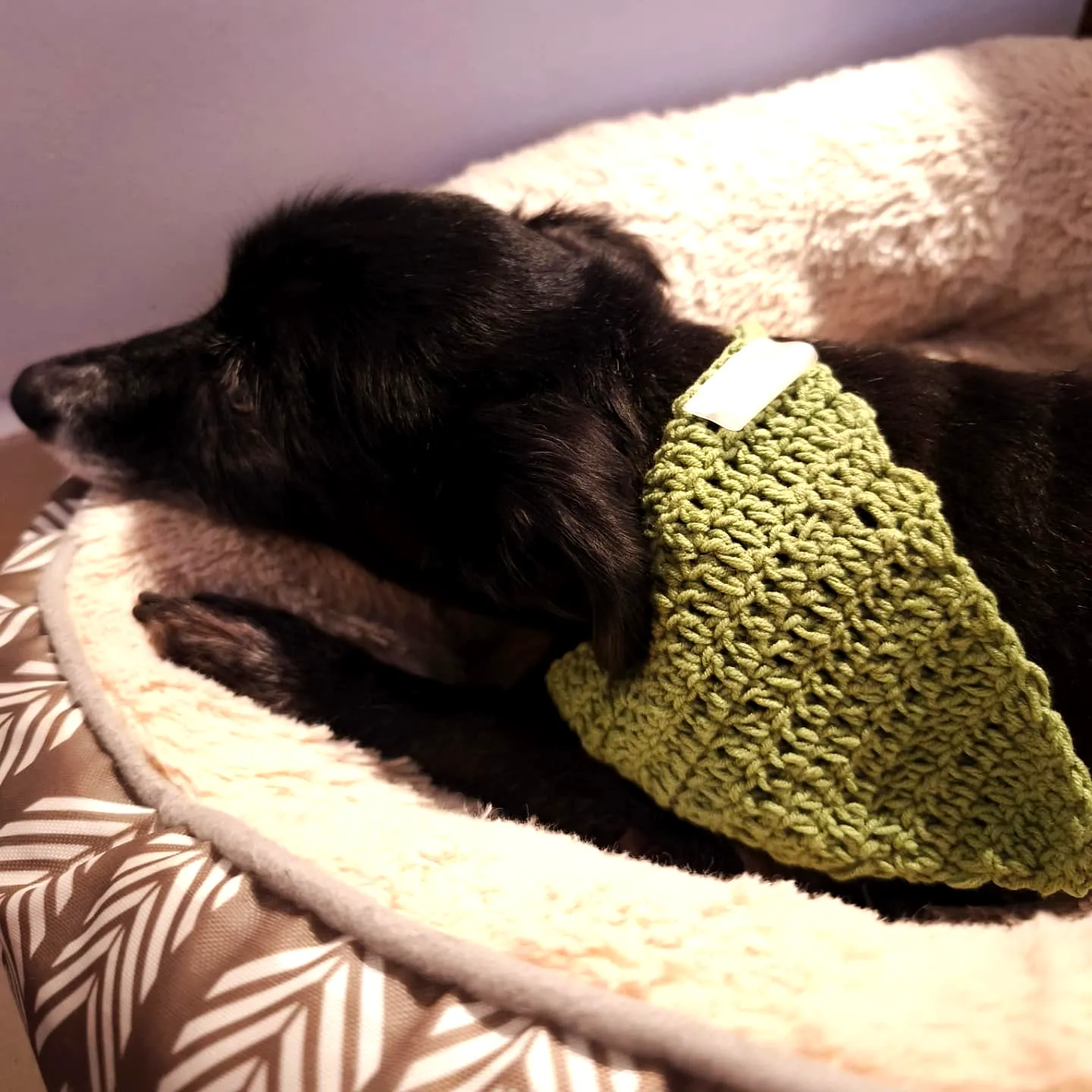 Stylish Vibrant Green Crochet Dog Bandana