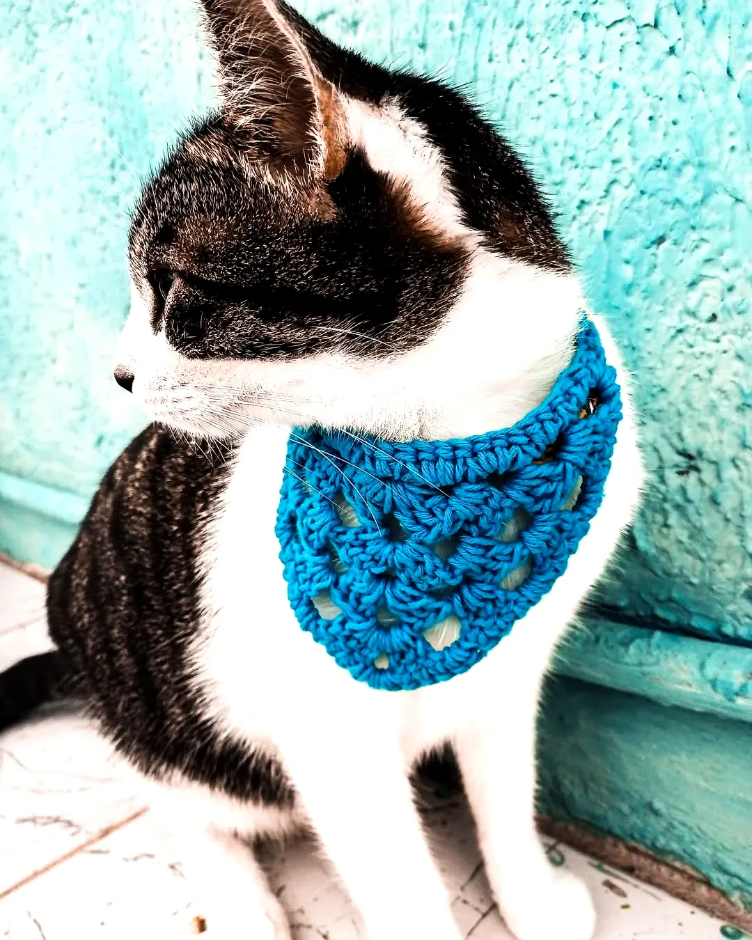 Stylish Vibrant Turquoise Crochet Pet Bandana for Cats