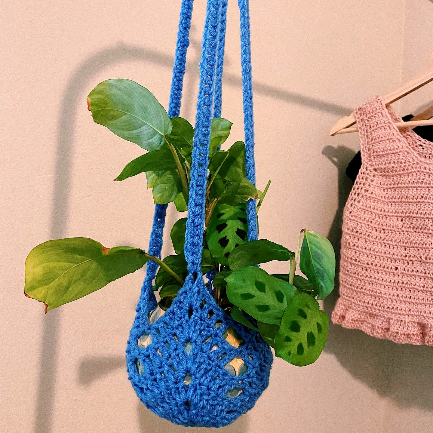 Vibrant Blue Crochet Plant Hanger for Intermediate Crocheters
