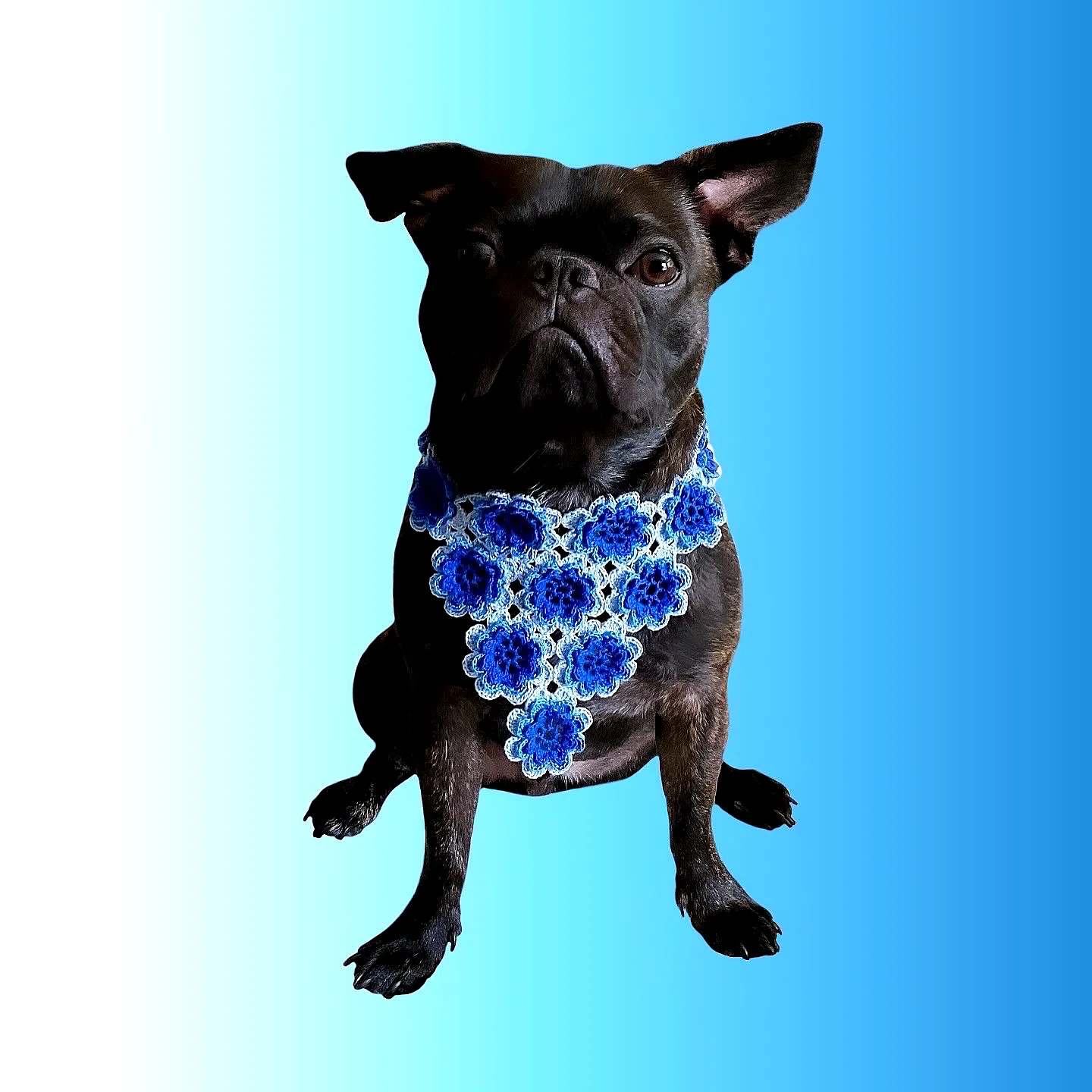 Vibrant Blue Floral Crochet Dog Bandana for Stylish Pets