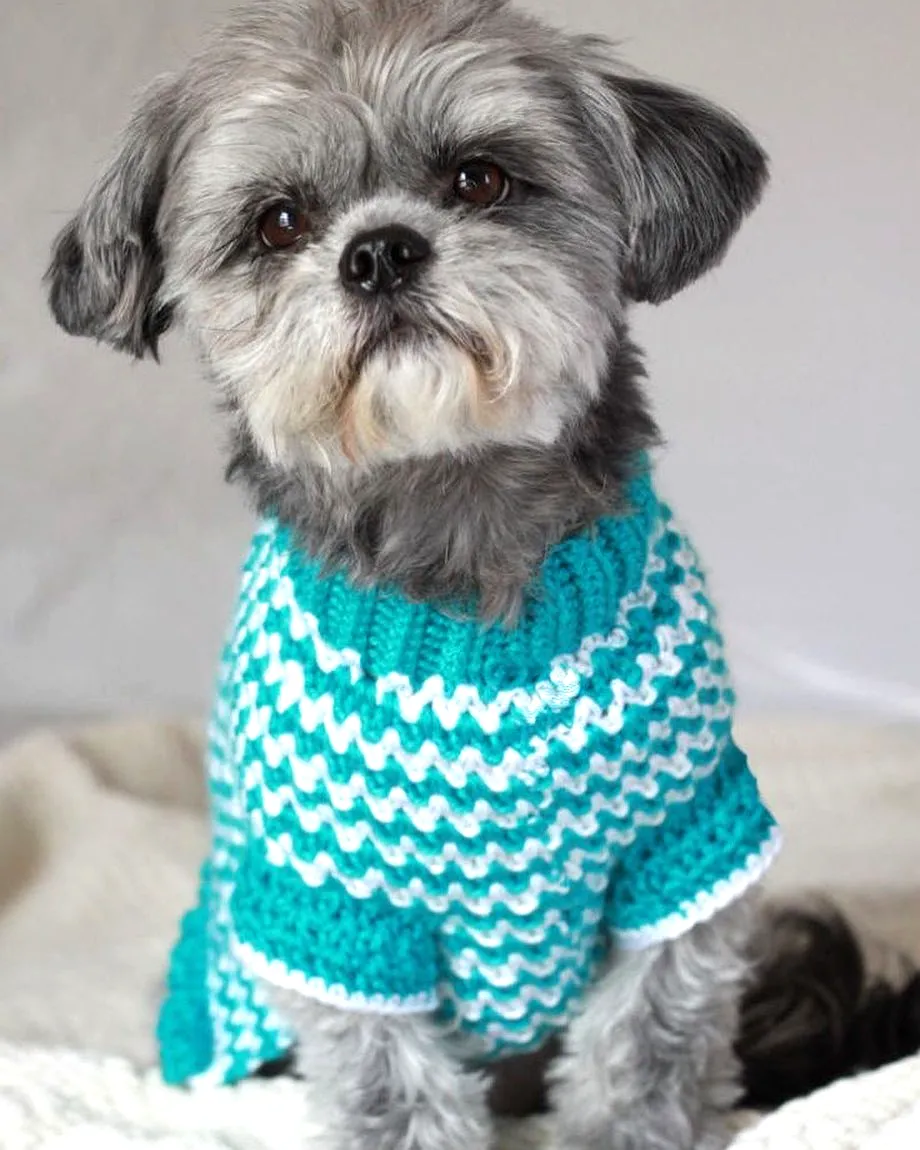 Vibrant Chevron Crochet Pet Sweater for Stylish Small Dogs