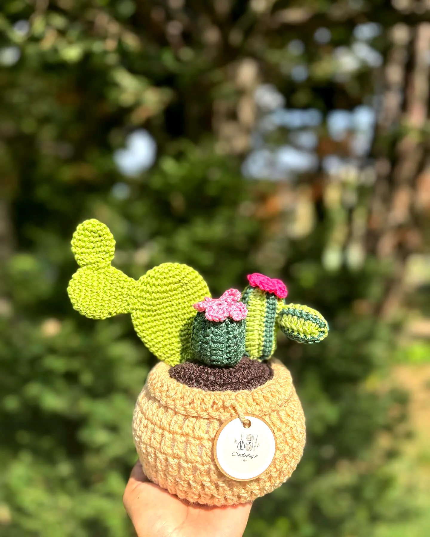 Vibrant Crochet Cactus in Cute Round Pot