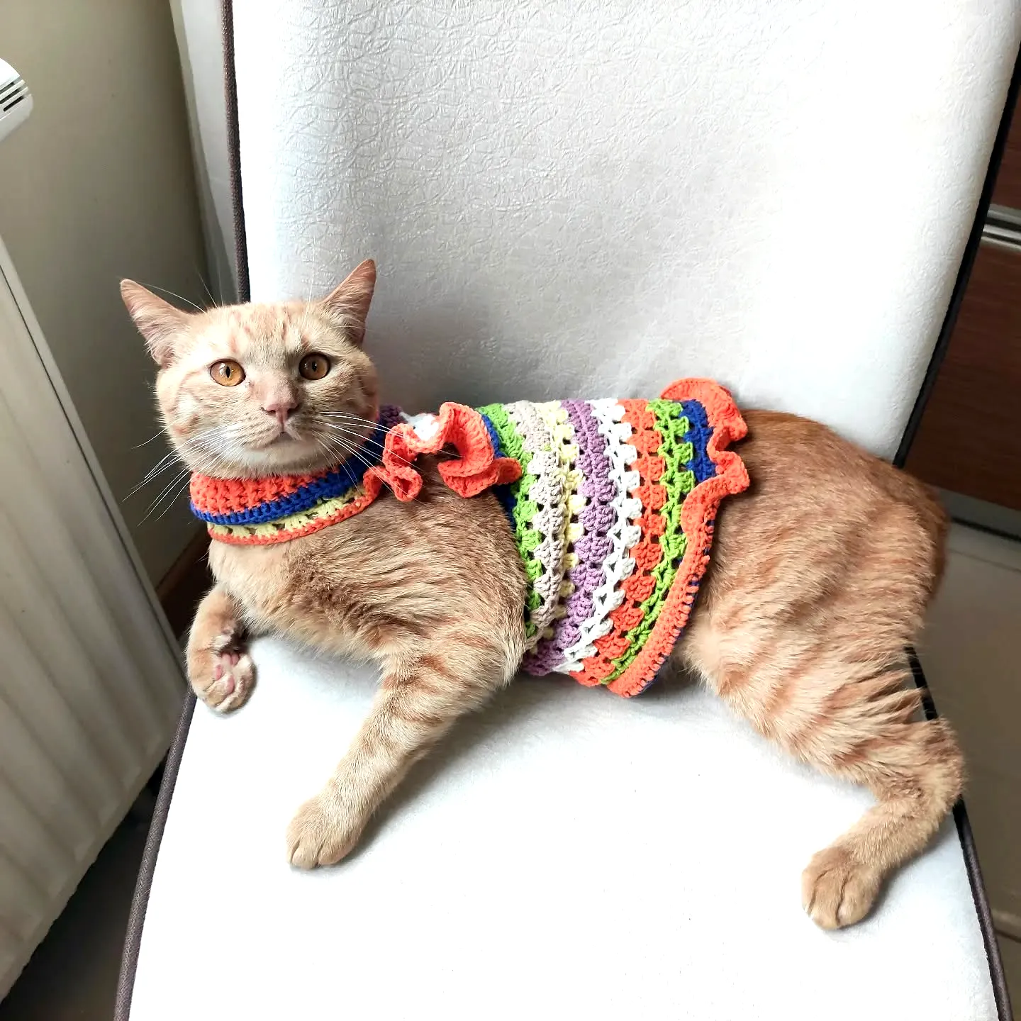 Vibrant Crochet Cat Sweater with Colorful Stripes and Ruffles