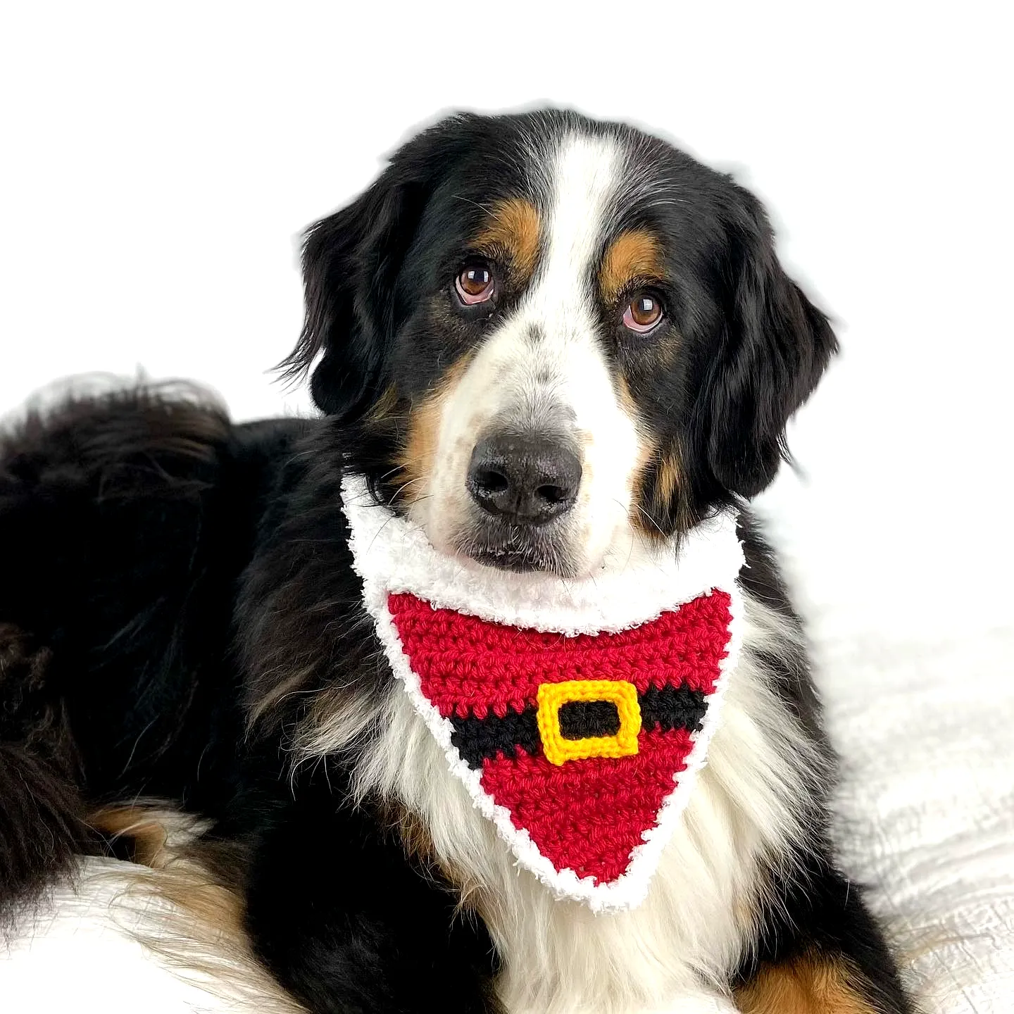 Vibrant Crochet Dog Bandana with Santa Claus Design for Pets