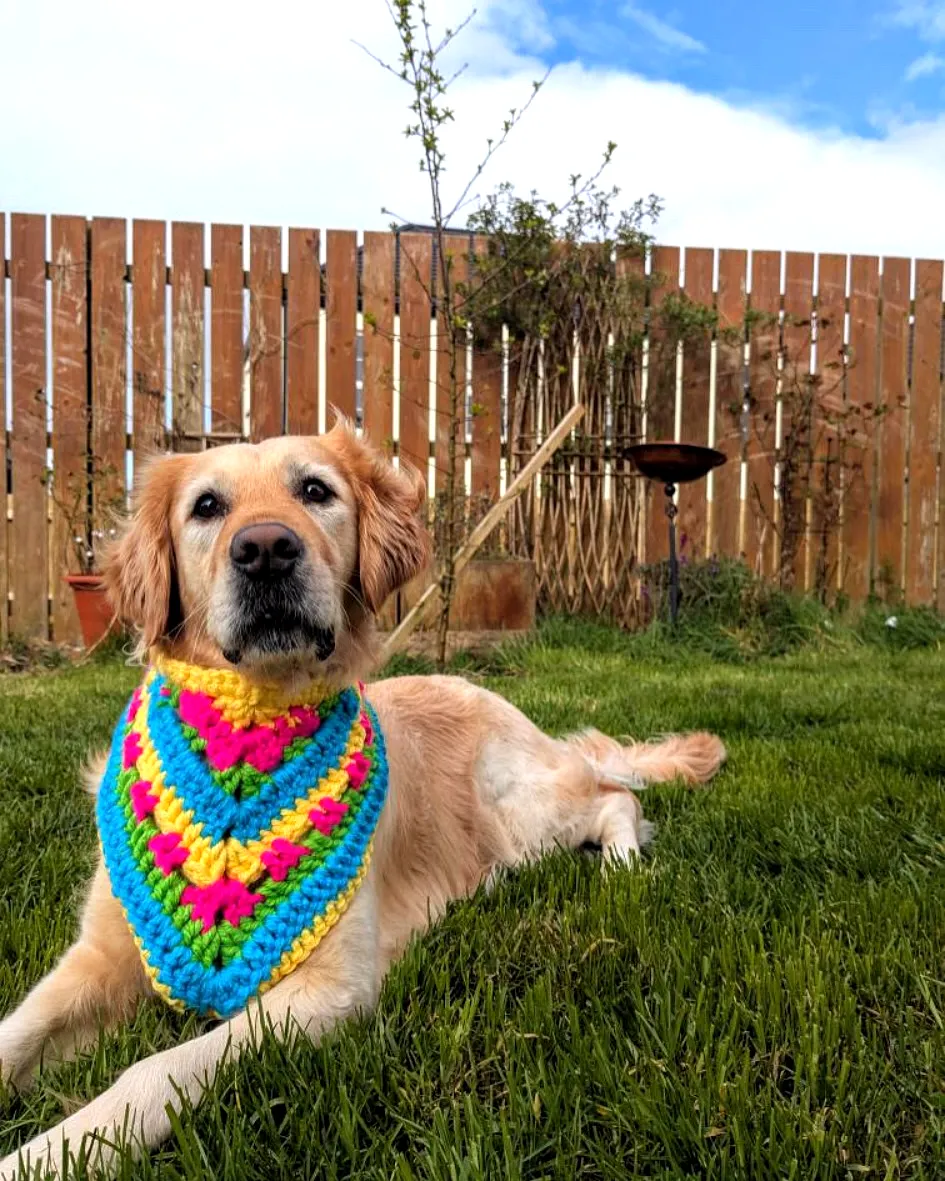 Vibrant Crochet Dog Bandana with Stylish Diamond Design
