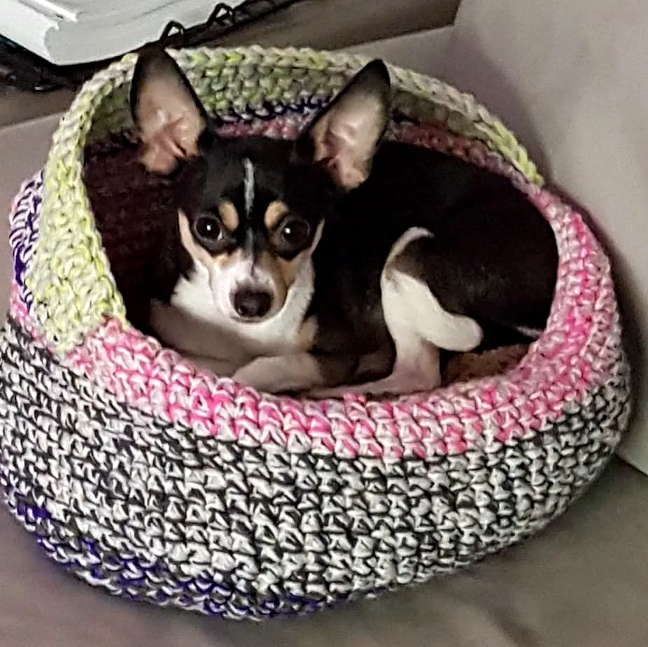 Vibrant Crochet Dog Bed Easy and Stylish for Small Pets