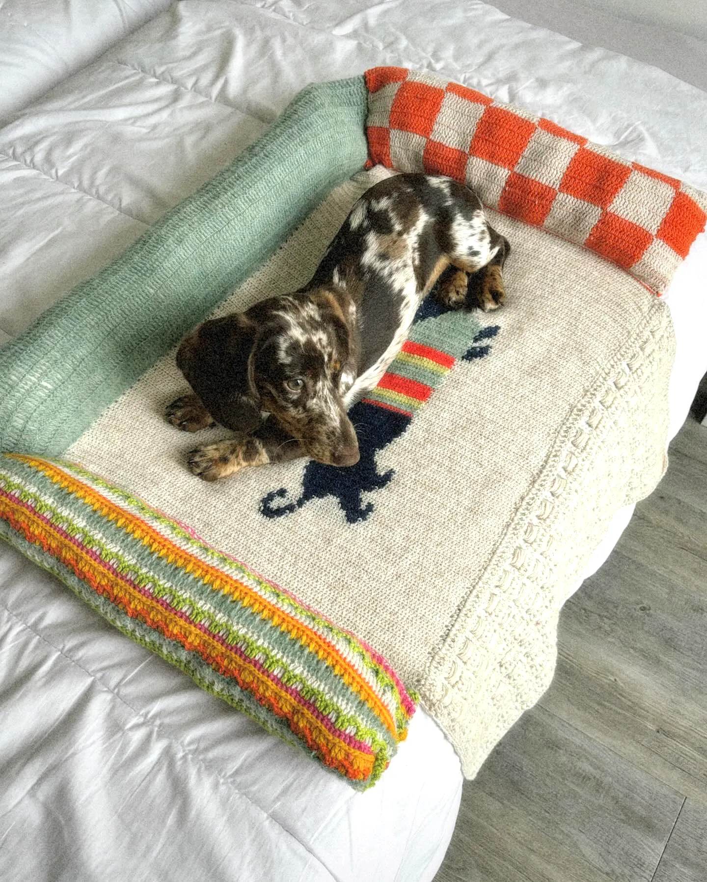 Vibrant Crochet Dog Bed in Colorful Stripes