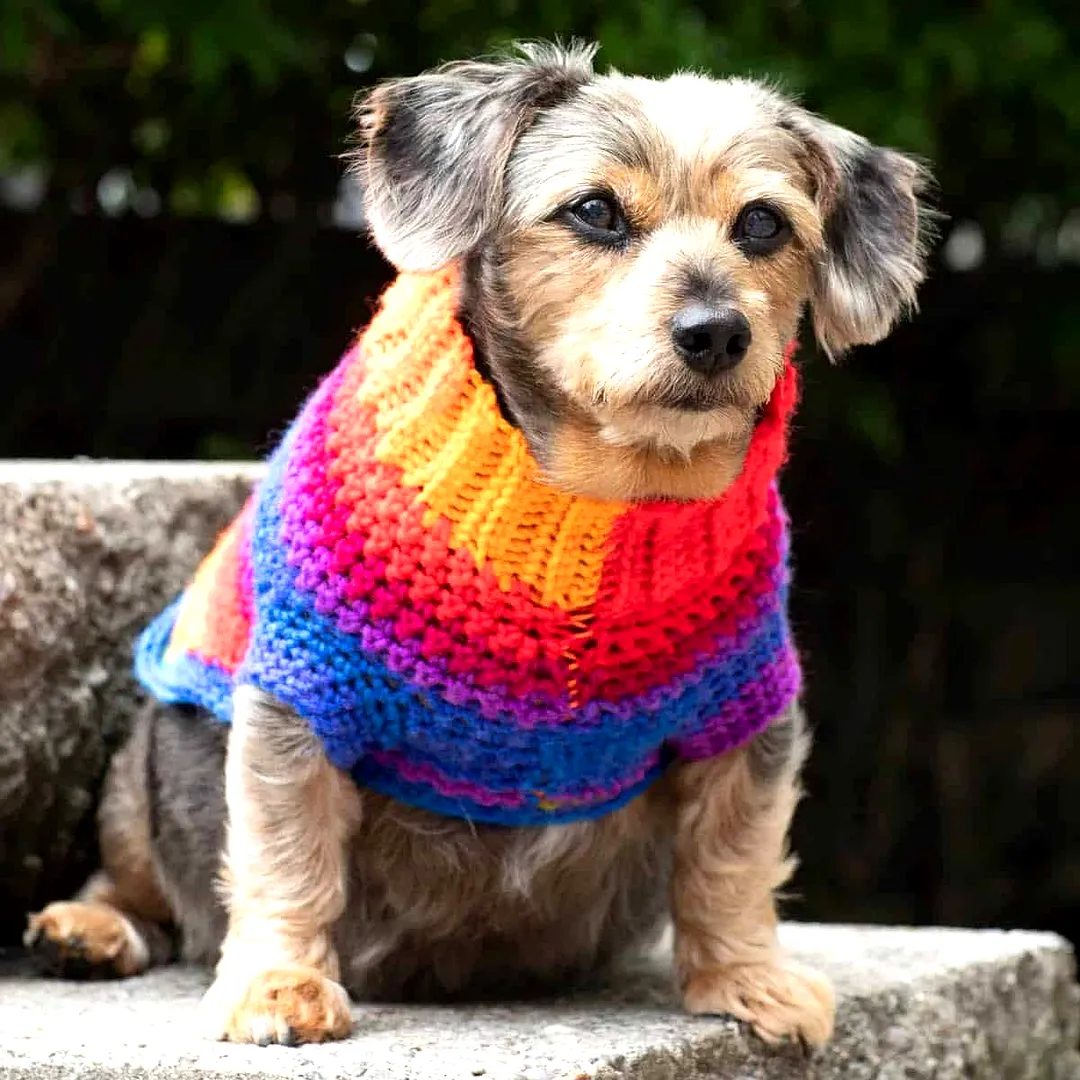 Vibrant Crochet Dog Coat in Colorful Stripes