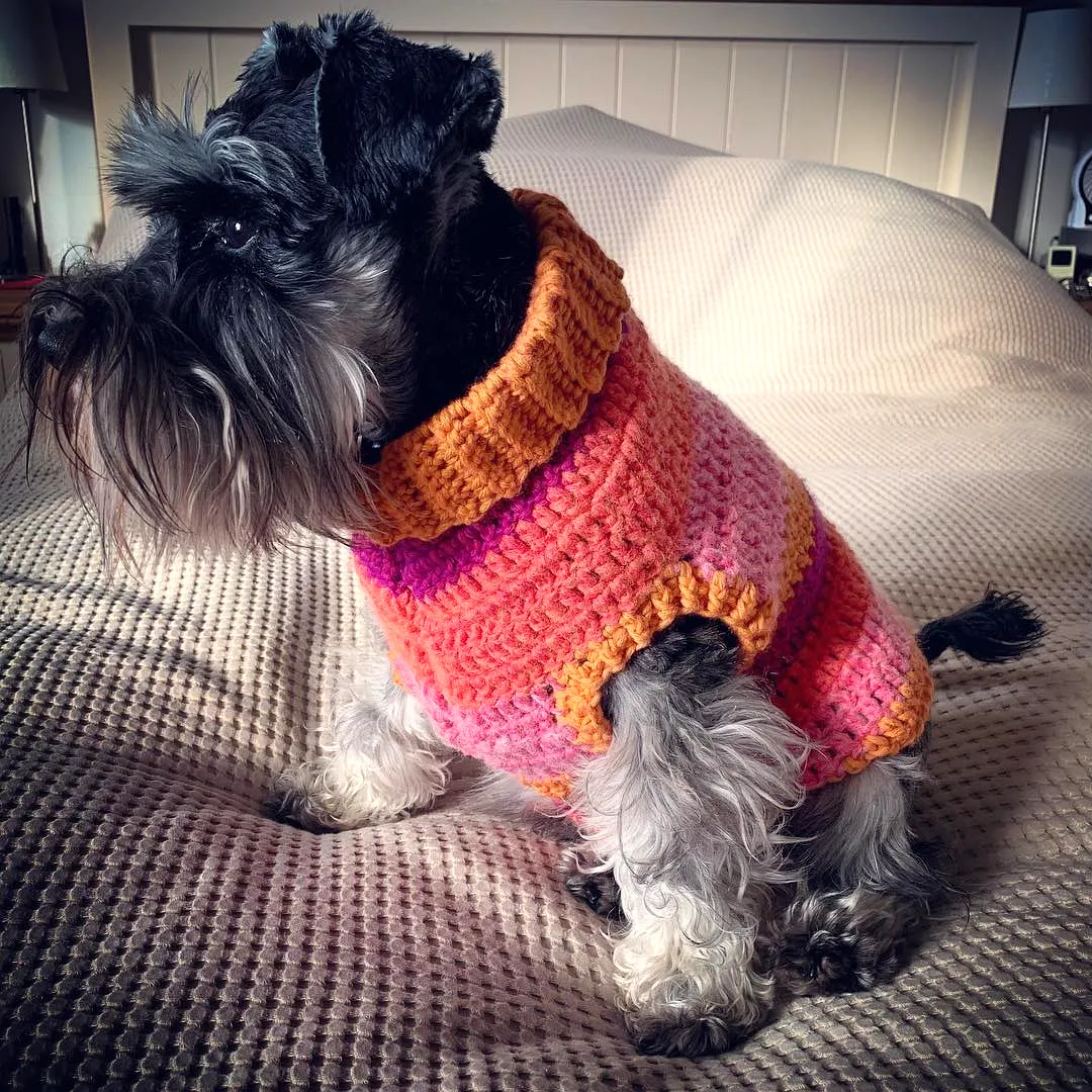 Vibrant Crochet Dog Coat in Stylish Pink and Orange Textures