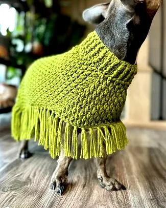 Vibrant Crochet Dog Coat with Textured Stitch and Fringe