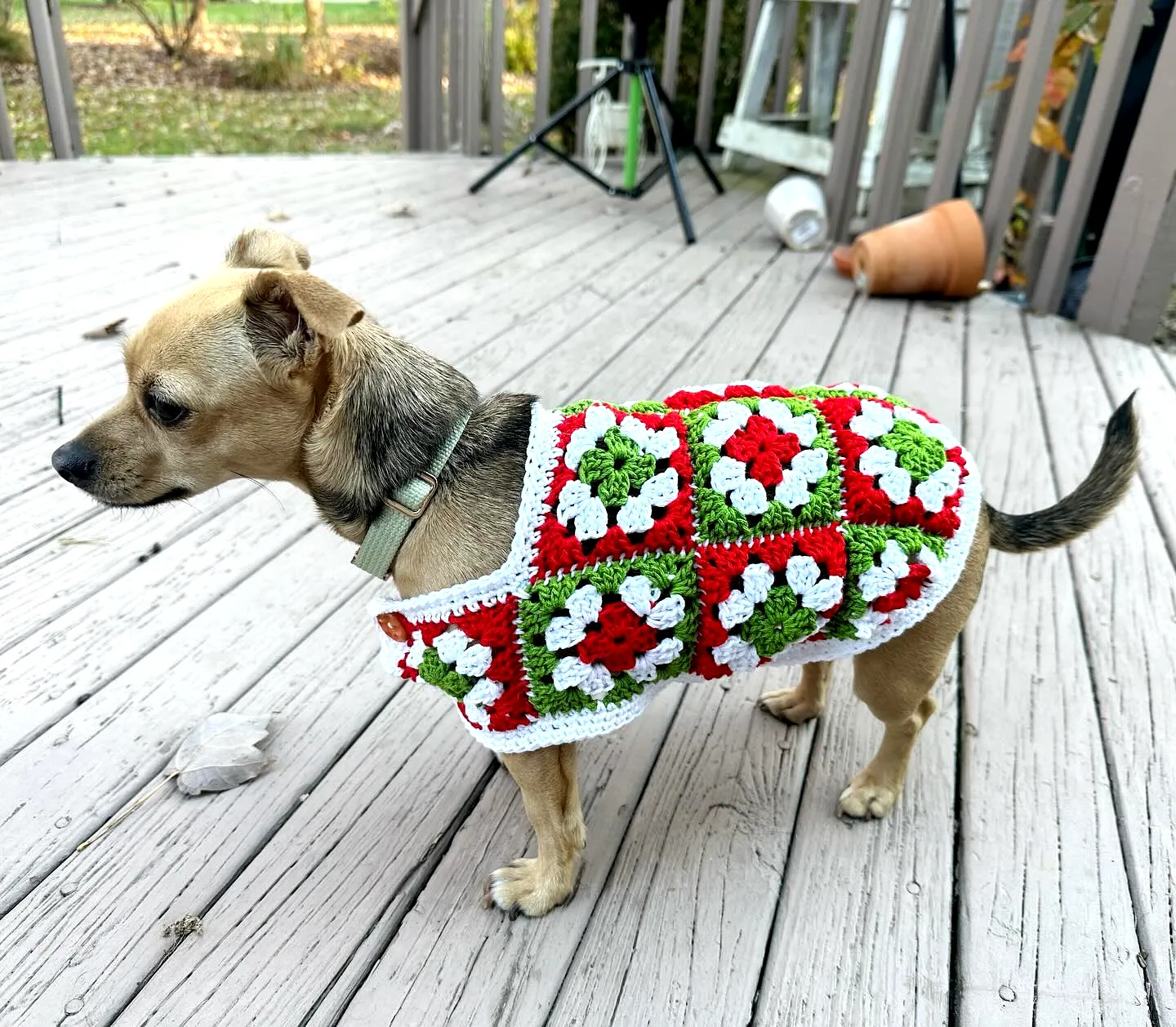 Vibrant Crochet Dog Sweater in Granny Square Holiday Style