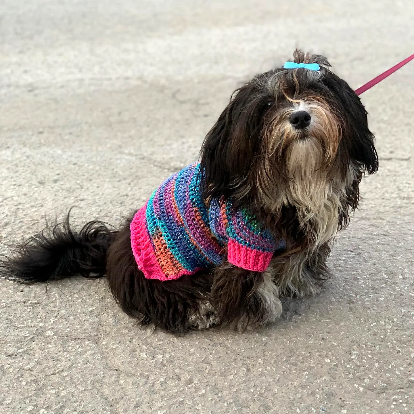 Vibrant Crochet Dog Sweater in Striped Pink Blue and Purple