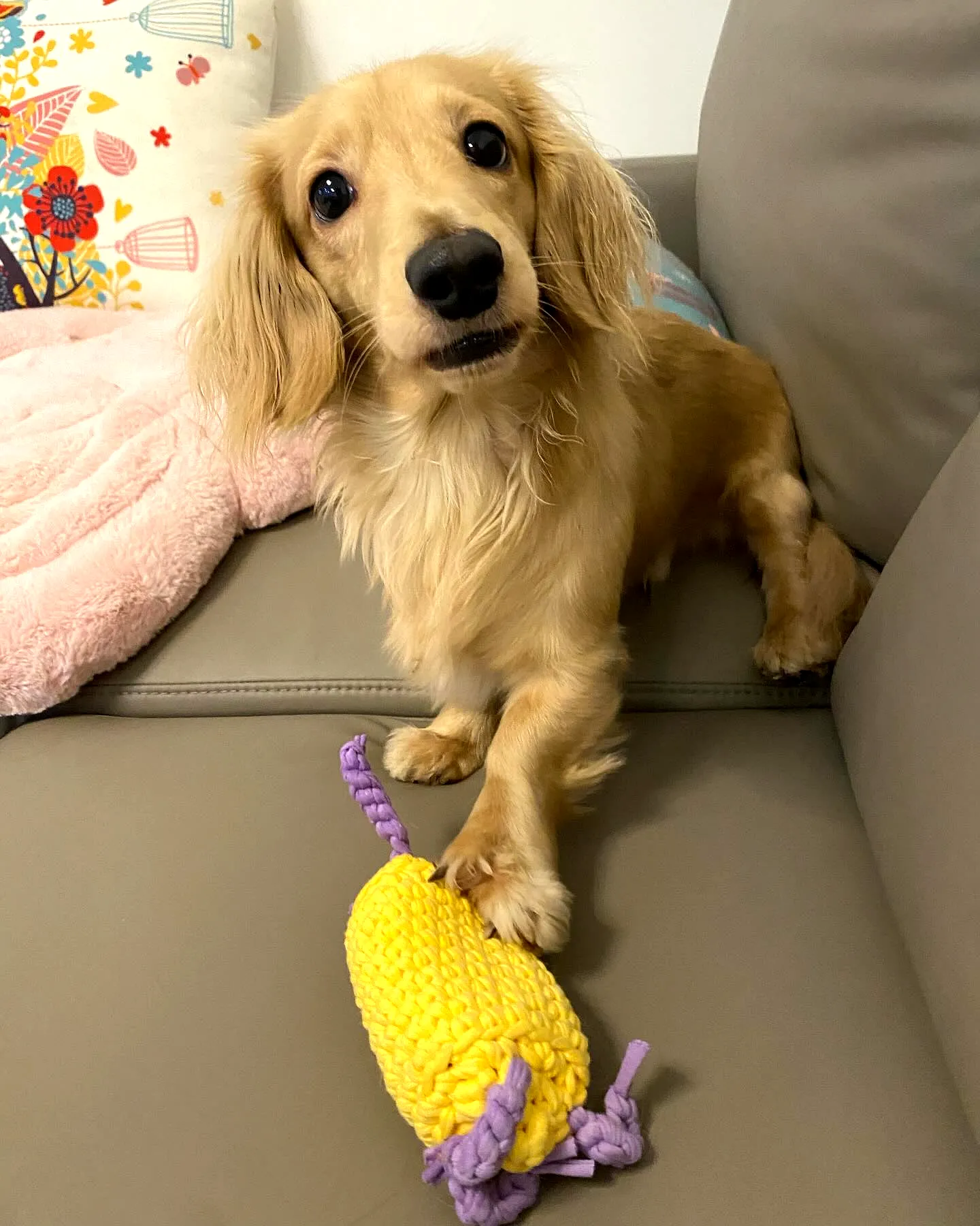 Vibrant Crochet Dog Toy in Cheerful Yellow with Purple Accents