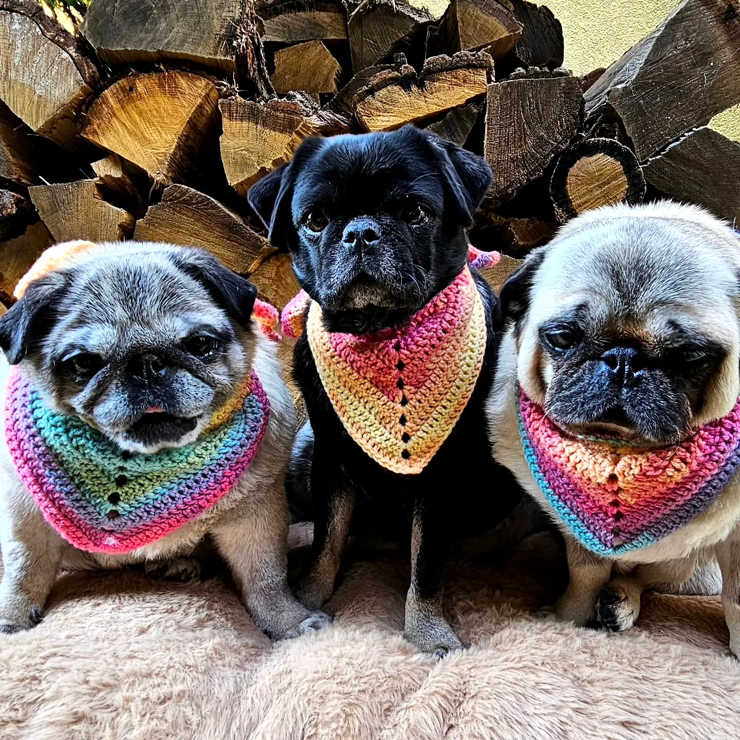 Vibrant Crochet Pet Bandana in Pastel Colors for Stylish Dogs