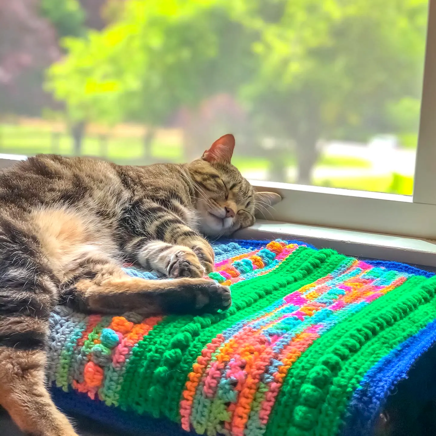 Vibrant Crochet Pet Blanket in Colorful Style
