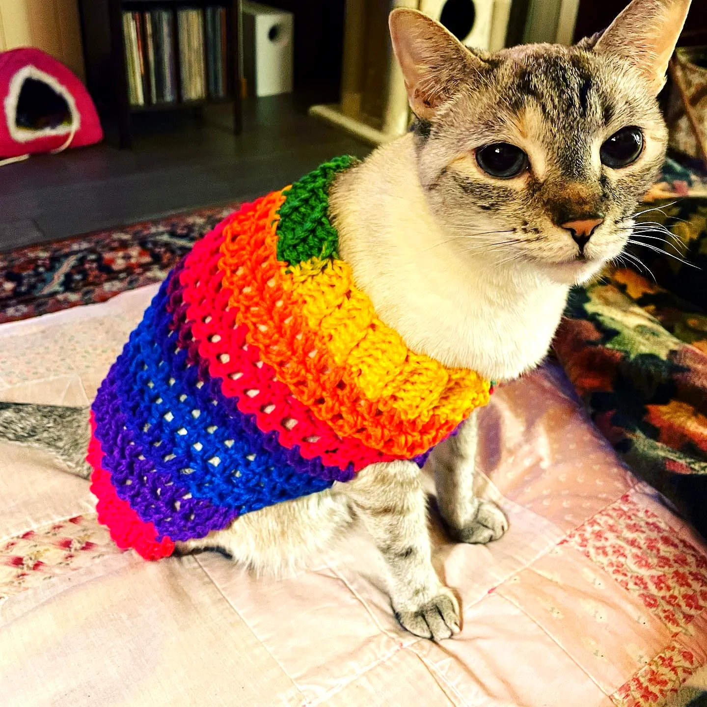 Vibrant Crochet Pet Sweater with Rainbow Design for Cats
