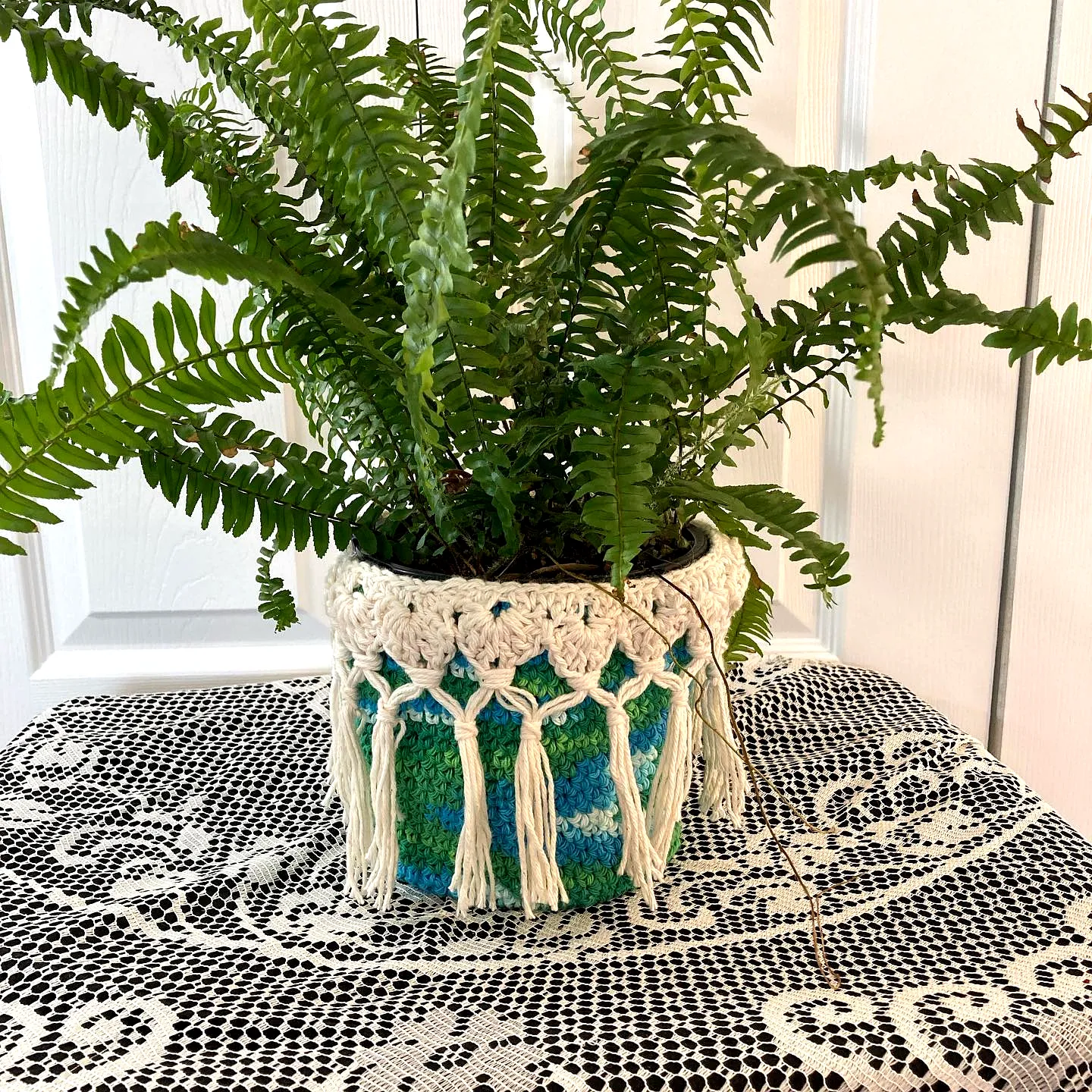 Vibrant Crochet Plant Cozy in Bohemian Style with Fringed Top